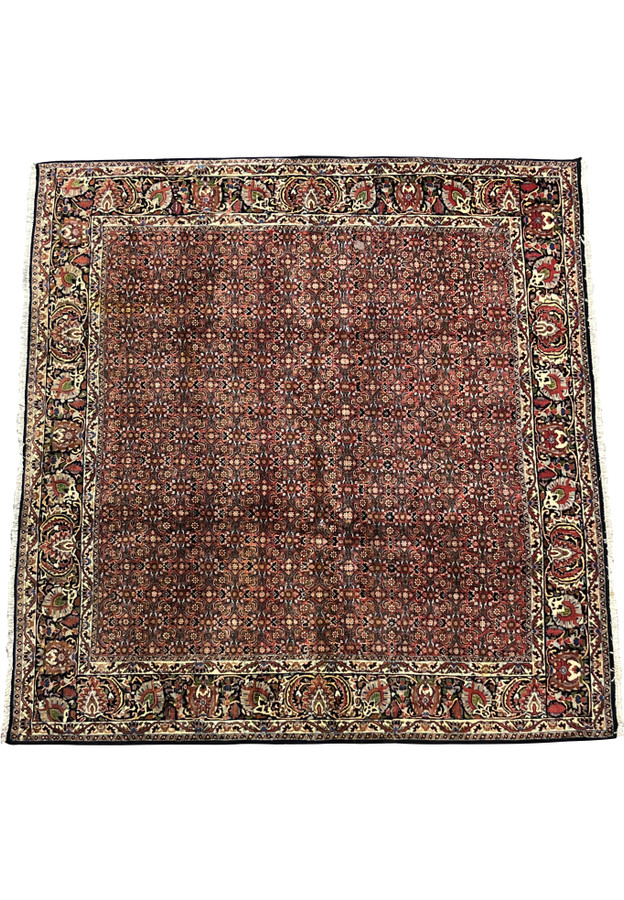 Square Bijar Persian Rug laid flat showing detailed floral lattice