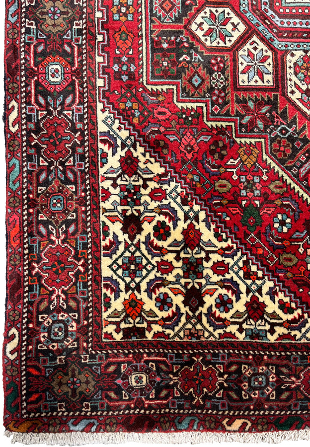 Border detail of a Persian Gholtogh rug with repeating tribal blossoms, navy framing, ivory highlights, and strong contrast against the red field
