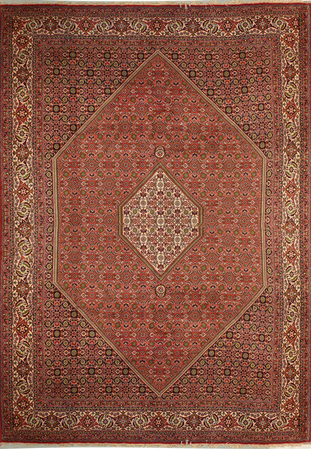 8'2" x 11'4" Persian Bijar Rug