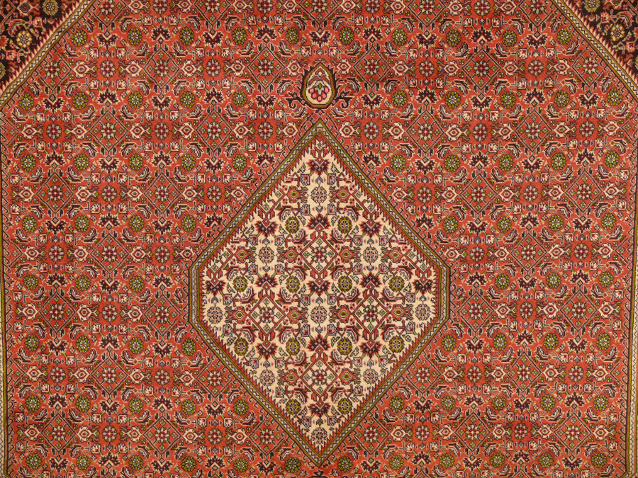 8'2" x 11'4" Persian Bijar Rug