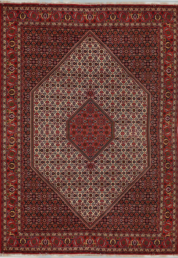 7 x 10 Persian Bijdar Rug Mahi Design