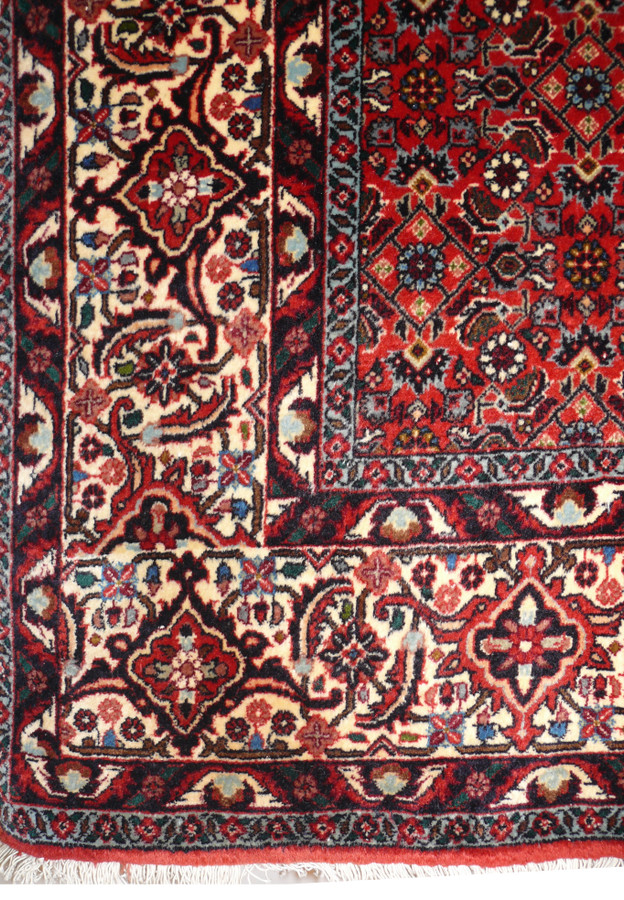 Ivory main border of palmettes and scrolling vines framing the red field, authentic handmade Bijar detail