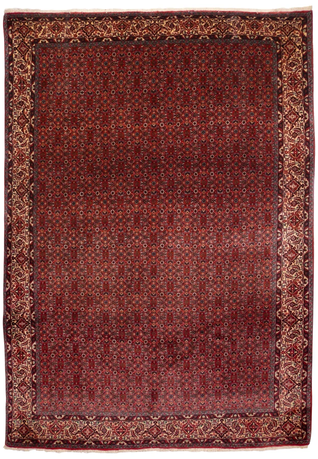 7 x 9 Persian Bijar rug with a dense red Herati field and ivory border, hand-knotted wool