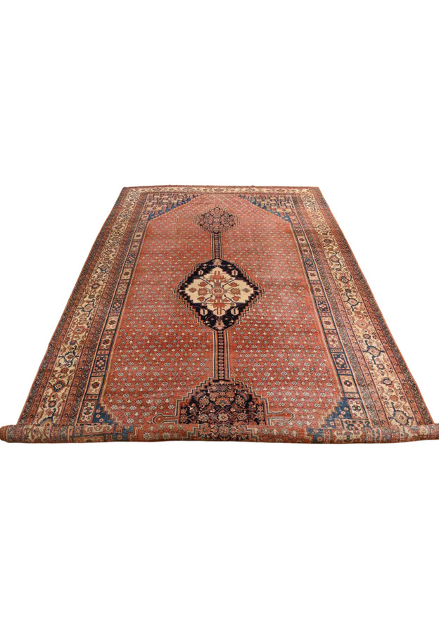 Top view of 12x19 antique Bakshaish showing full anchored medallion and allover flower lattice