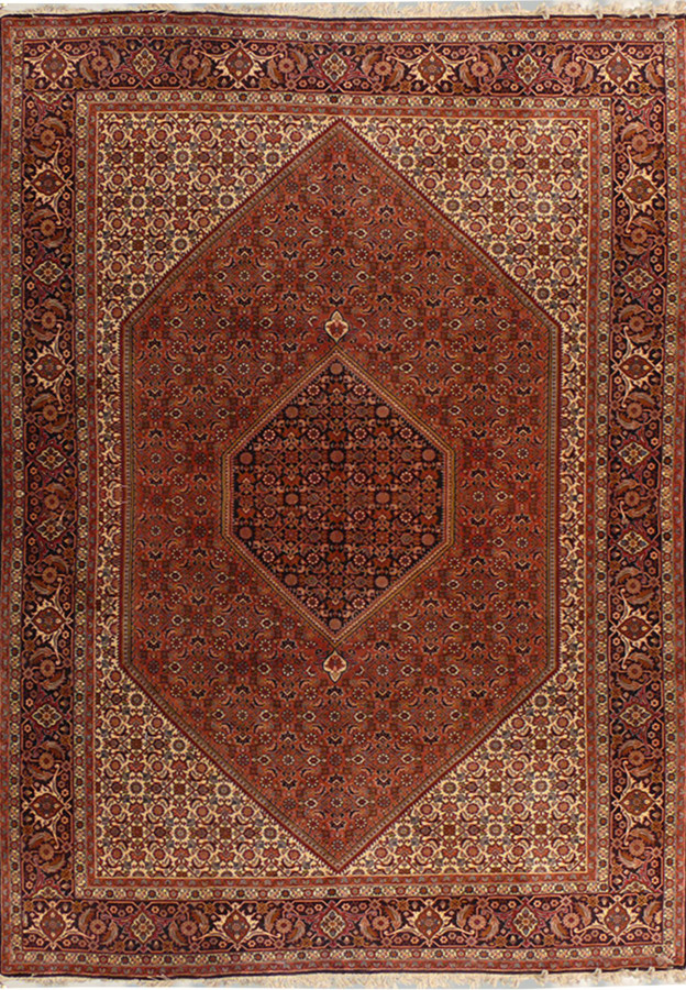 6'5 x 10' Persian Bijar Rug
