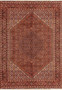 6'4" x 9'4" Persian Bijar Rug Mahi Design