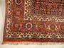 7 x 10 Persian Bijar Rug