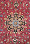 Stunning Center Medallion Design on a 5x7 Persian Tabriz Rug