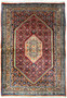 The full view of a 4x6 Persian Bijar rug on a flat surface, displaying the complete design with a prominent red field and a complex, multi-colored border.