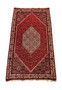 Overhead view of a 4x6 Persian Bijar rug showcasing a central diamond medallion with floral patterns in red, cream, and black hues