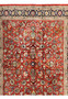 Wide view of rust red Sarough rug field with interconnected floral motifs in ivory, blue, green, and gold across the all-over Persian design.