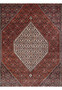 Midfield close-up of Bijar Persian Rug showing brick red ground, ivory floral motifs, and navy accents