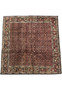 Square Bijar Persian Rug laid flat showing detailed floral lattice