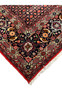 closeup of 10x13 Bijar rug main border with black ground and rose blossoms