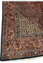 Detailed shot of Bijar rug border with floral sprays, rosettes, and multi-tone vine patterns.