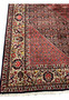Wide outer border of Persian Bijar rug with scrolling floral vines