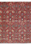 Detailed border of a 6'6 x 9'6 rare Persian Bijar iron rug with navy blue floral frame on red background