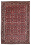 6'6 x 9'6 rare Persian Bijar all over iron rug with brick red field and dense floral pattern handmade in Iran