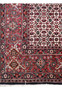 Detailed border view of Bijar Persian rug showing red background, navy outlines, cream flowers, and scrolling vinework
