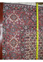 Backside of 7x9'8 Bijar rug highlighting tight Kurdish weave and crisp wool-on-cotton knot structure