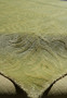 Edge close-up showing clean finishing and the seamless borderless design of this modern wool and silk green rug.