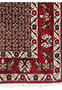 Border detail of Persian Senneh rug featuring stylized floral motifs, olive green accents, ivory outlines, and rich red ground