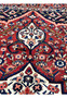 Scrolling vine and floral patterns on vintage Persian Bakhtiari rug, hand-knotted wool in red and ivory.