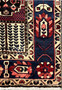 Close-up of Bakhtiari rug border showing floral vine and tulip motifs, 7x10 Persian wool rug