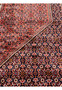Classic Herati fish motif closeup on red field, Bijar Persian rug hand-knotted wool