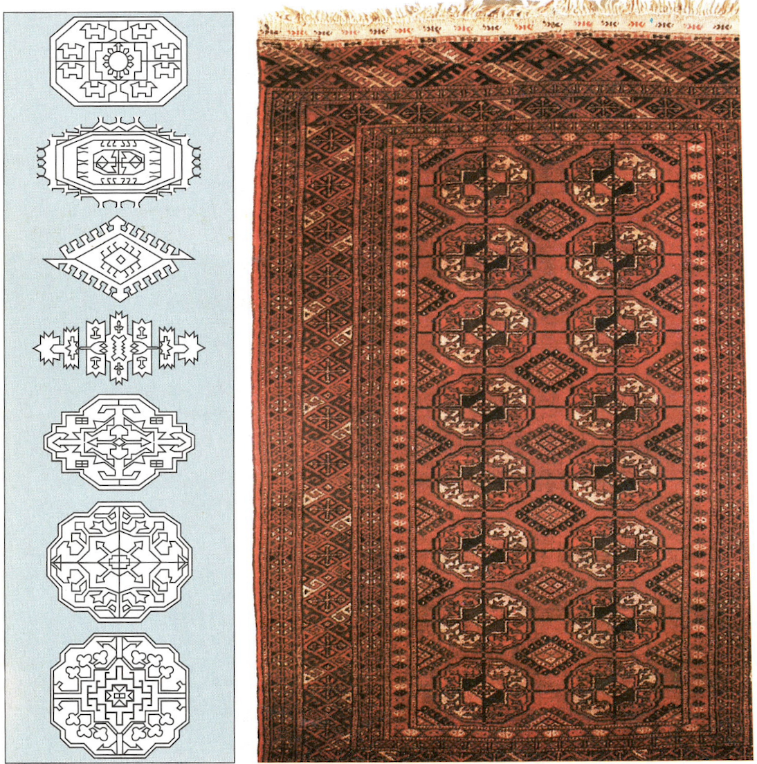 Schematic Turkmen guls beside a detail of a West Turkestan Tekke rug