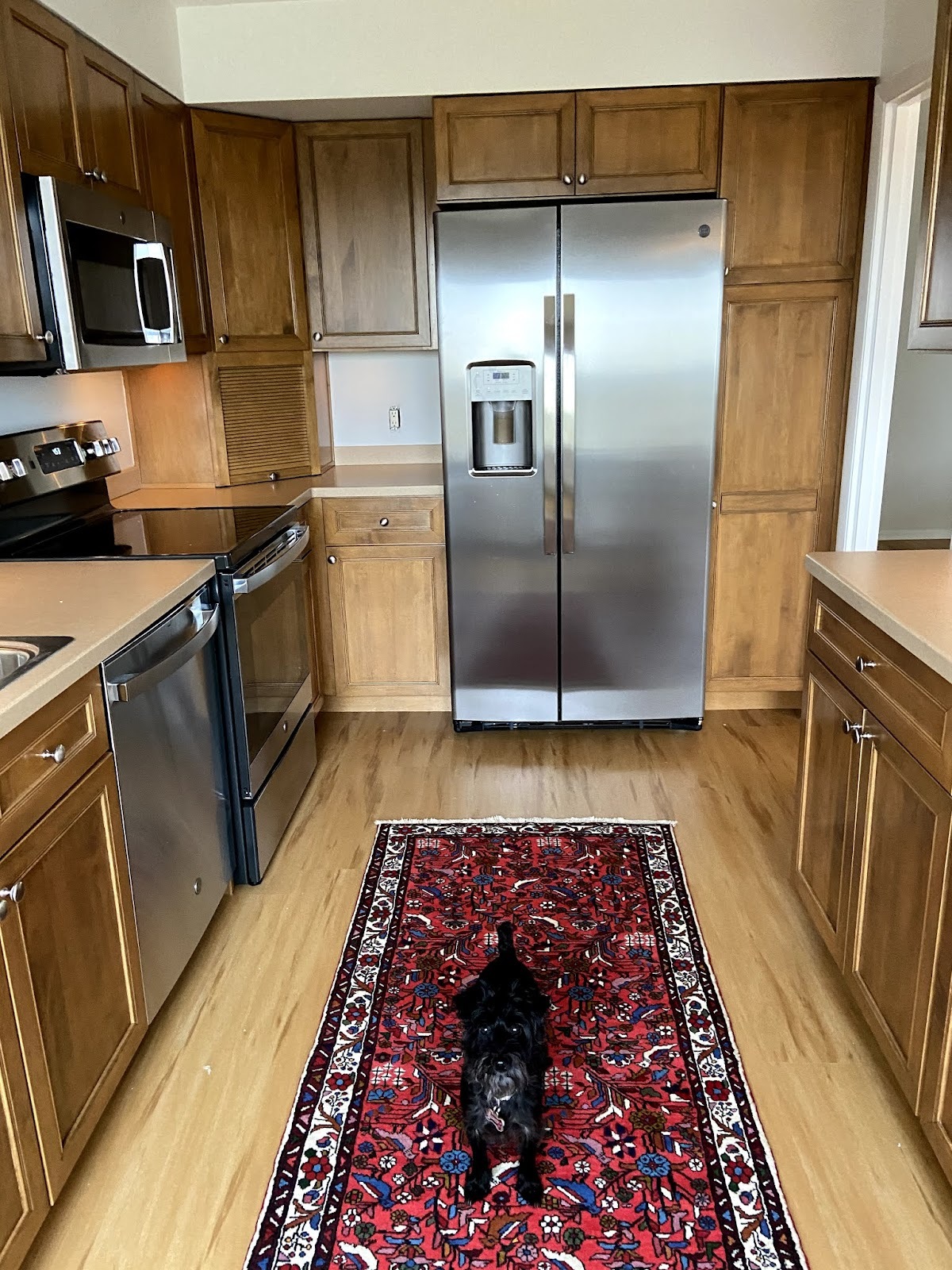 Customer photo of antique oriental rug that arrived in four days from Rugs.net