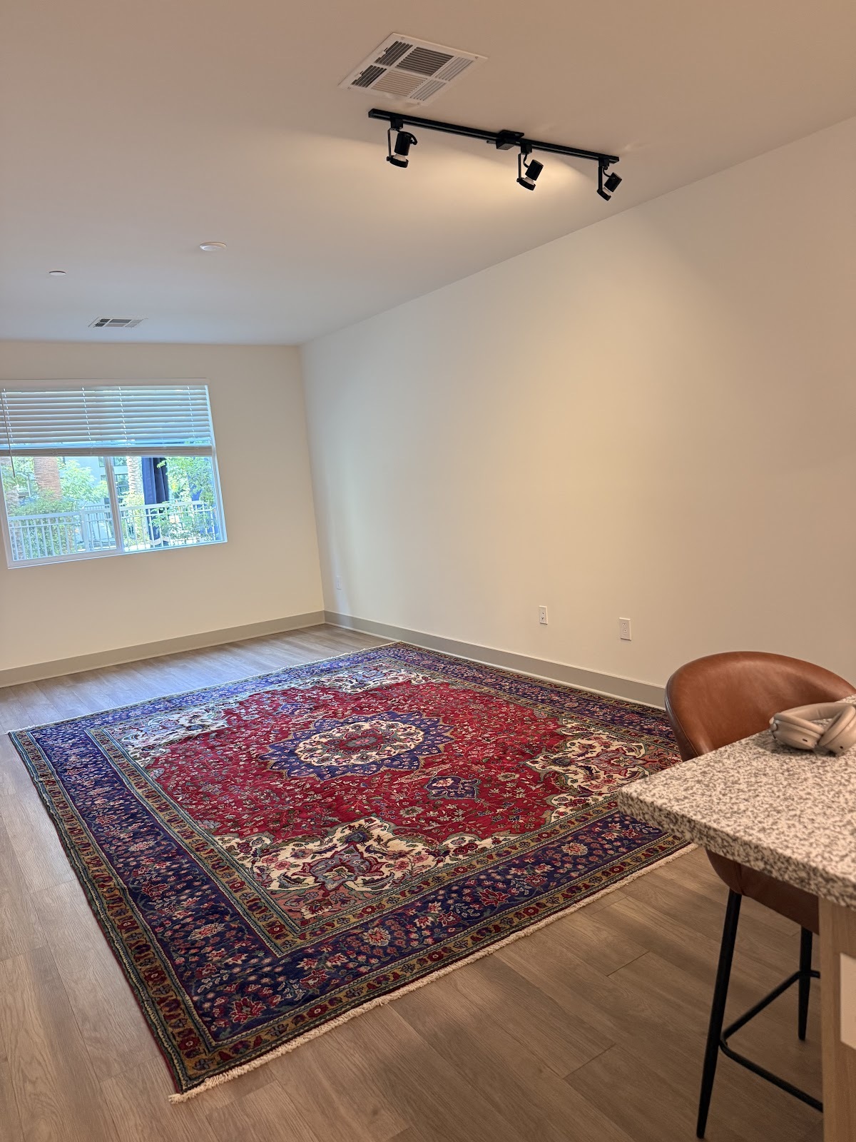 Beautiful handmade rug photographed at home by a delighted Rugs.net customer