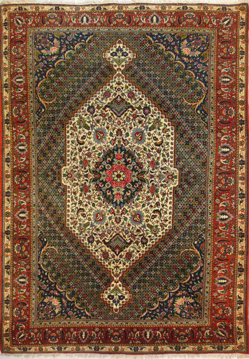 6'9 x 10'7 Persian Bakhtiari Garden