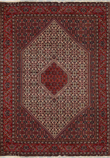 6'6 x 9'9 Persian Bijar Rug Mahi Design - Rugs.net