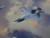 Air-Force Centenary Super Hornet Aircraft Sky   $8/ 1/4   $32/m