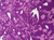 Bungalow pwjd070P