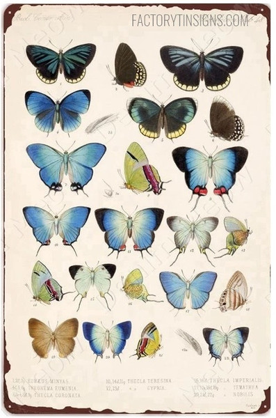 Order Online Top 6 Metal Tin Signs Australia, Grab Free Delivery