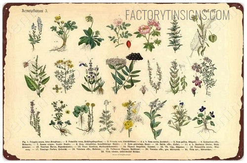 Herbs & Medicinal Vintage Typography Metal Tin Sign Botanical Plants Poster for Home Decoration