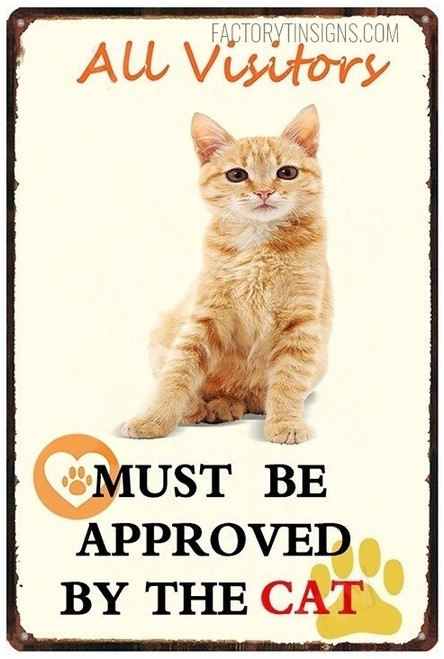 All Visitors Must Be Approved By The Cat Typography Funny Animal Vintage Metal Signs Tin Signs for Wall Décor And Wall Hanging