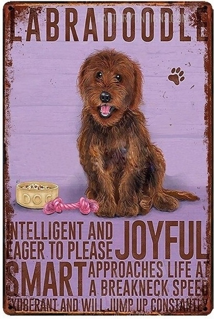 Labradoodle Animal Typography Vintage Poster Dog Metal Tin Sign for Wall Art Decoration