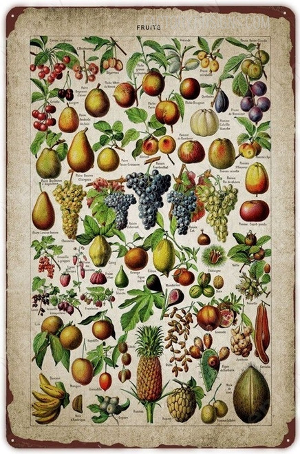 Black Grapes Fruits Food Typography Vintage Tin Sign Retro Metal Tin Signs for Wall Décor And Wall Hanging