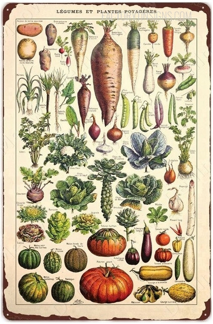 Legumes Et Plantes Potageres Typography Vegetables Food Vintage Tin Sign Retro Metal Tin Signs for Wall Décor And Kitchen Wall Décor