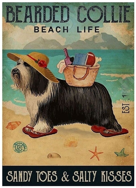 Bearded Collie Beach Life Animal Typography Vintage Metal Tin Sign Nature Landscape Beach Poster for Wall Art Décor