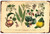 Botanical Illustration Vintage Typography Fruit Vegetable Tin Sign Metal Poster for Farm Garden Home Wall Décor