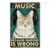 Music Cute Cat Animal Typography Vintage Metal Tin Sign for Café Decoration