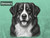 Print Your Dog Photo To Artistic Dog Print Tin Sign Poster | Memorable Art Piece | Custom Tin Sign Dog Artwork | Personalised Tin Sign Plate