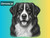 Print Your Dog Photo To Artistic Dog Print Tin Sign Poster | Memorable Art Piece | Custom Tin Sign Dog Artwork | Personalised Tin Sign Plate