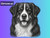 Print Your Dog Photo To Artistic Dog Print Tin Sign Poster | Memorable Art Piece | Custom Tin Sign Dog Artwork | Personalised Tin Sign Plate