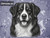 Print Your Dog Photo To Artistic Dog Print Tin Sign Poster | Memorable Art Piece | Custom Tin Sign Dog Artwork | Personalised Tin Sign Plate
