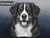 Print Your Dog Photo To Artistic Dog Print Tin Sign Poster | Memorable Art Piece | Custom Tin Sign Dog Artwork | Personalised Tin Sign Plate